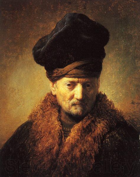 REMBRANDT Harmenszoon van Rijn Bust of an Old Man in a Fur Cap fj Norge oil painting art